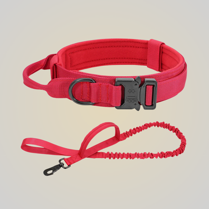 FlexiGrip Duo - Hundehalsband & Leine