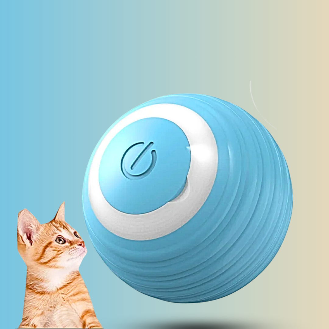 KittyMotion Pro