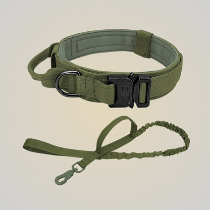 FlexiGrip Duo - Hundehalsband & Leine