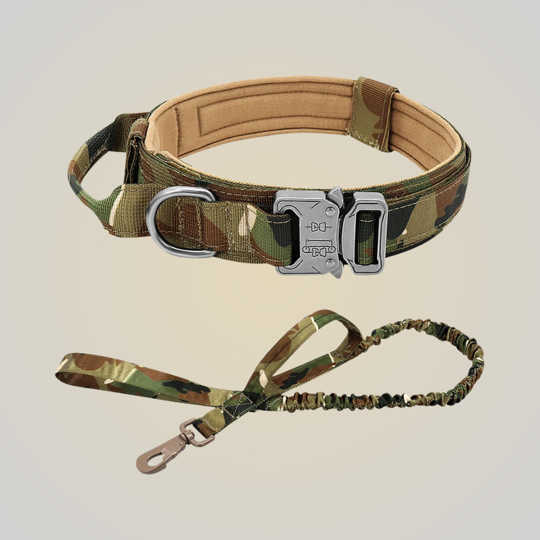 FlexiGrip Duo - Hundehalsband & Leine