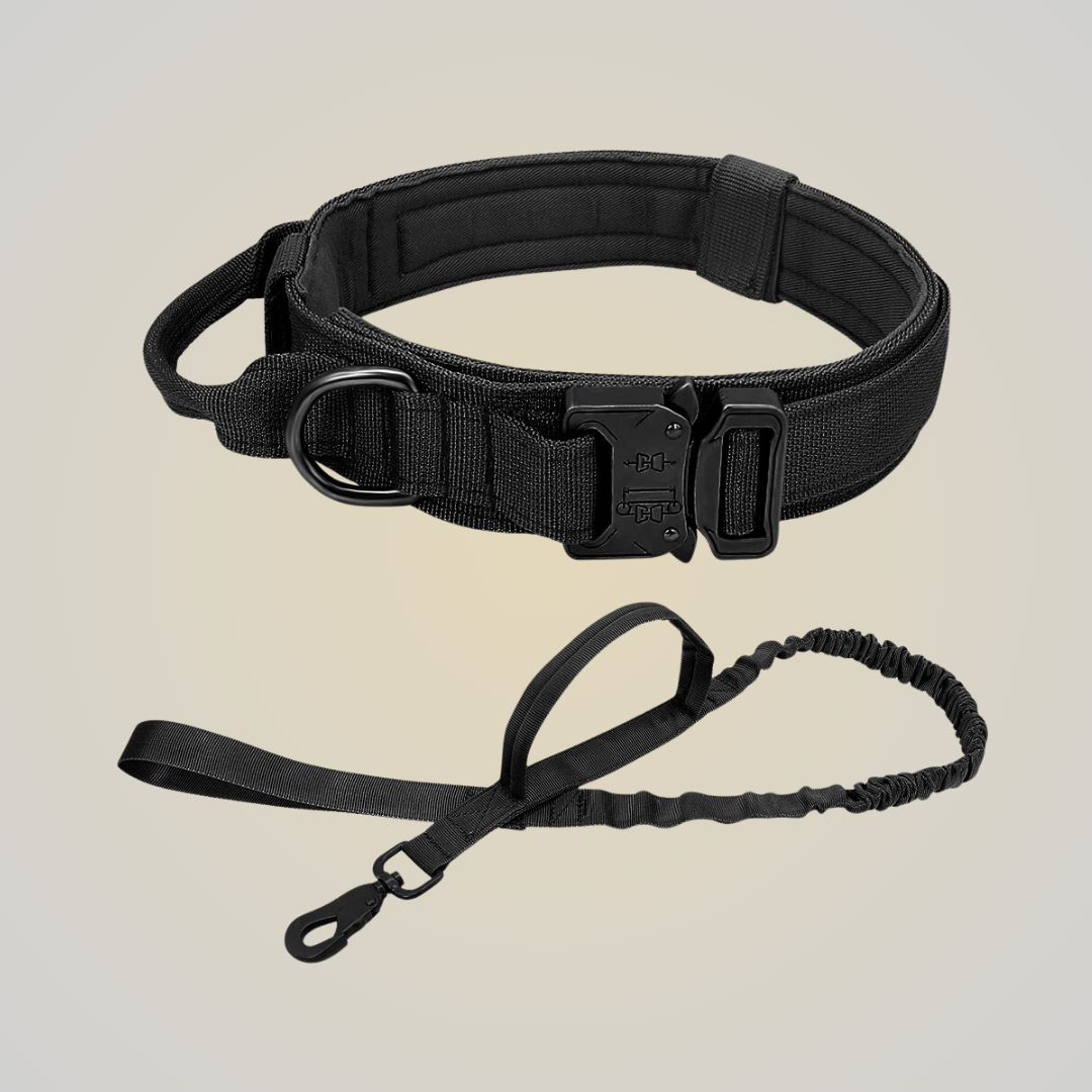 FlexiGrip Duo - Hundehalsband & Leine