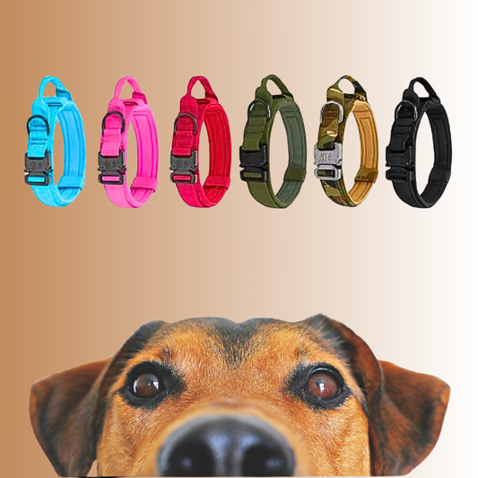 FlexiGrip Duo - Hundehalsband & Leine